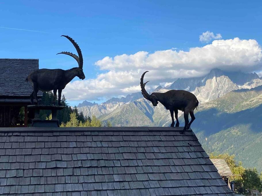 Praz Sur Arly - Proche Des Pistes Et De Megeve Διαμέρισμα Εξωτερικό φωτογραφία