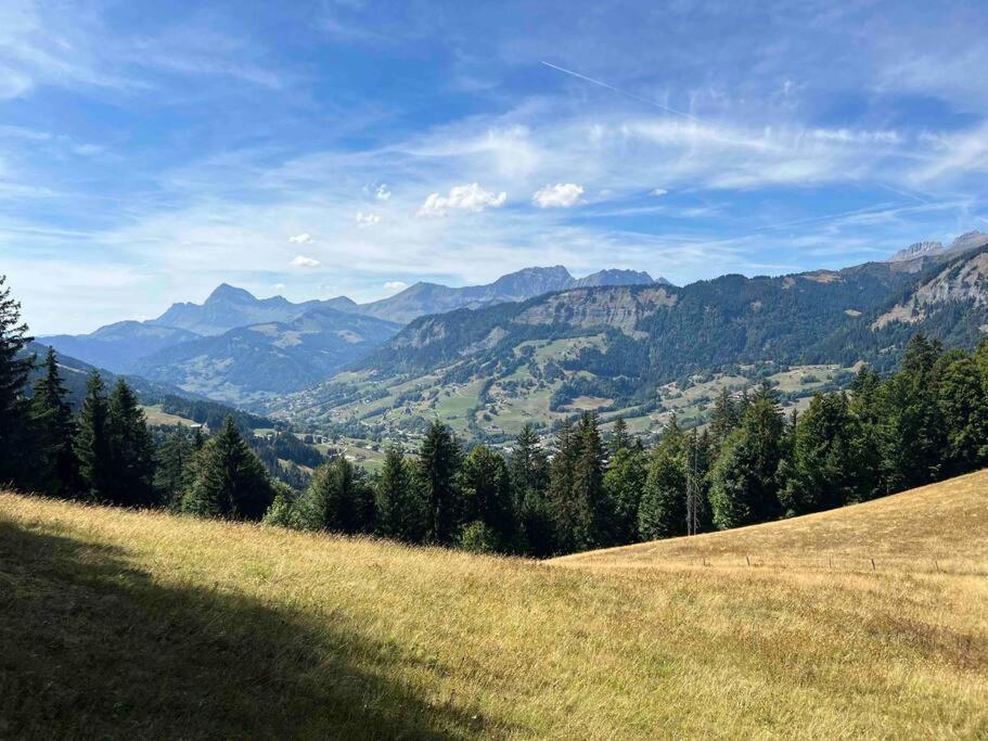 Praz Sur Arly - Proche Des Pistes Et De Megeve Διαμέρισμα Εξωτερικό φωτογραφία