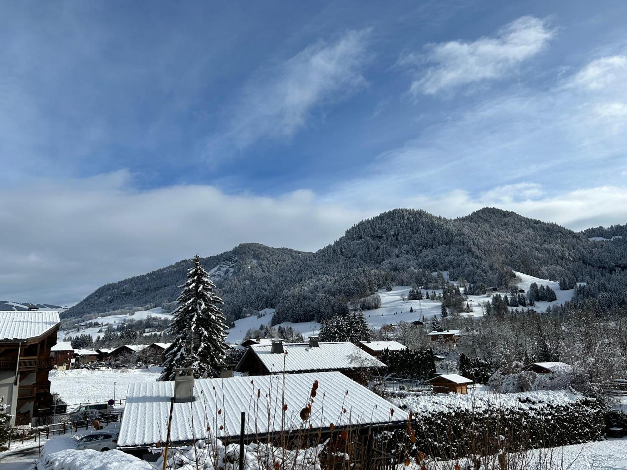 Praz Sur Arly - Proche Des Pistes Et De Megeve Διαμέρισμα Εξωτερικό φωτογραφία